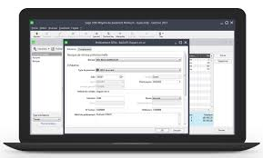 logiciel sage moyens de paiement