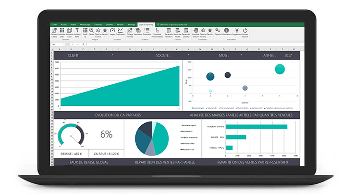 Sage BI Reporting Gestion Commerciale